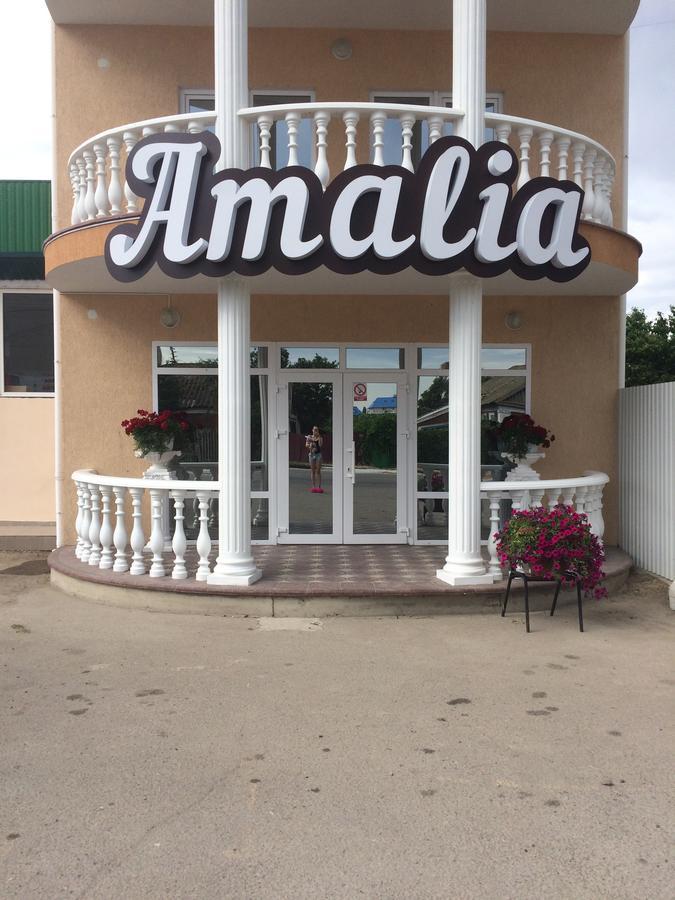 Amalia Hotel Zaliznyy Port Exterior photo